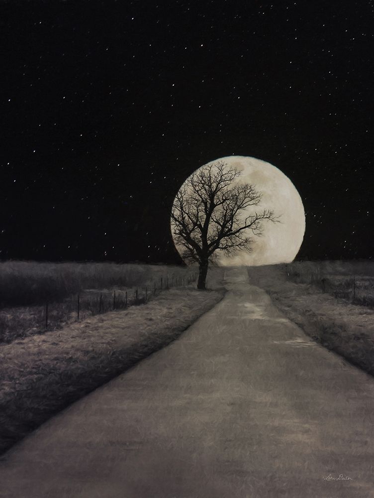 Moonlit Country Road