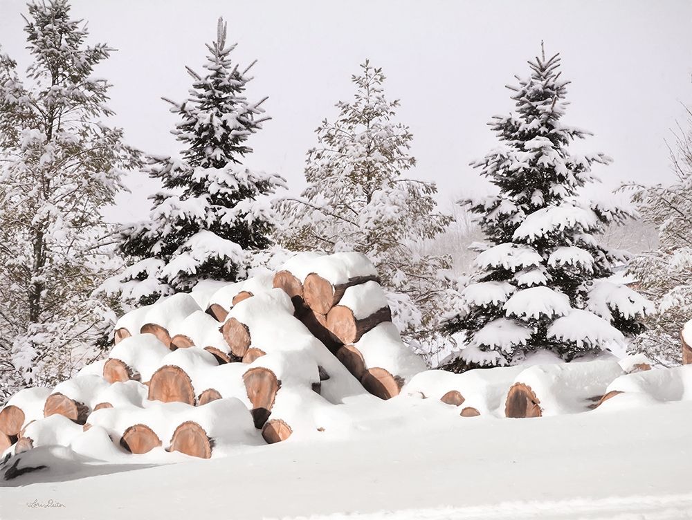 Snowy Logs