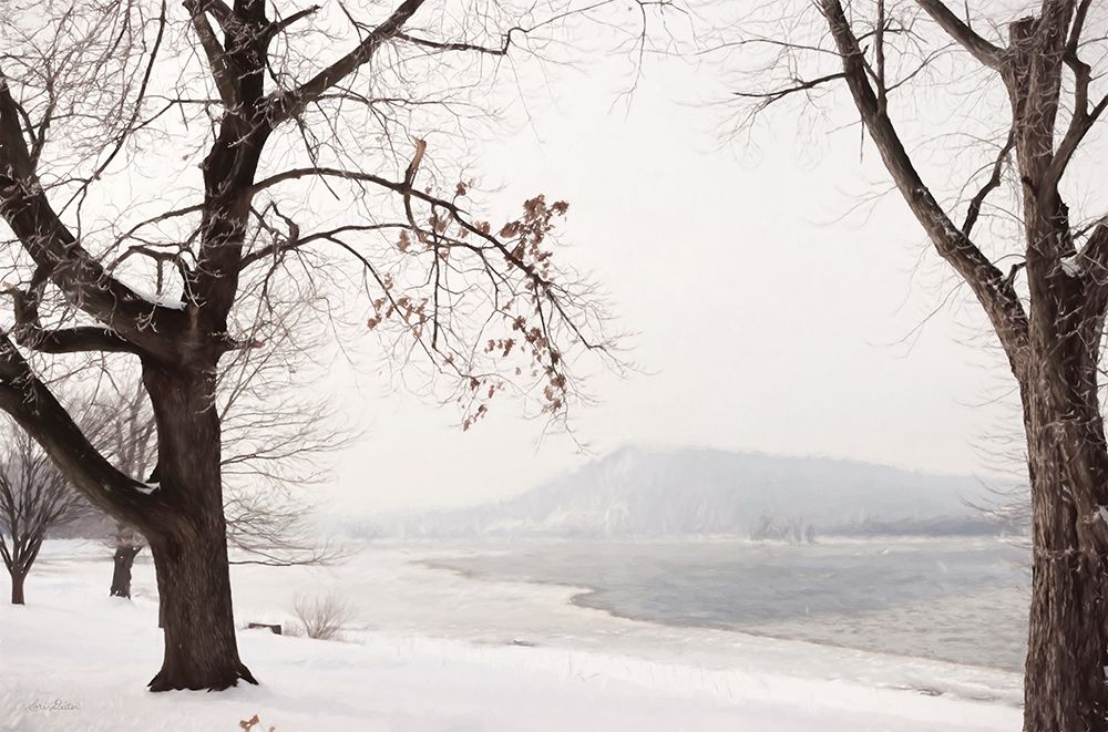 Snowy Susquehanna