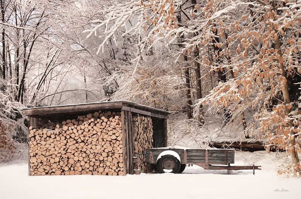 Firewood Shed