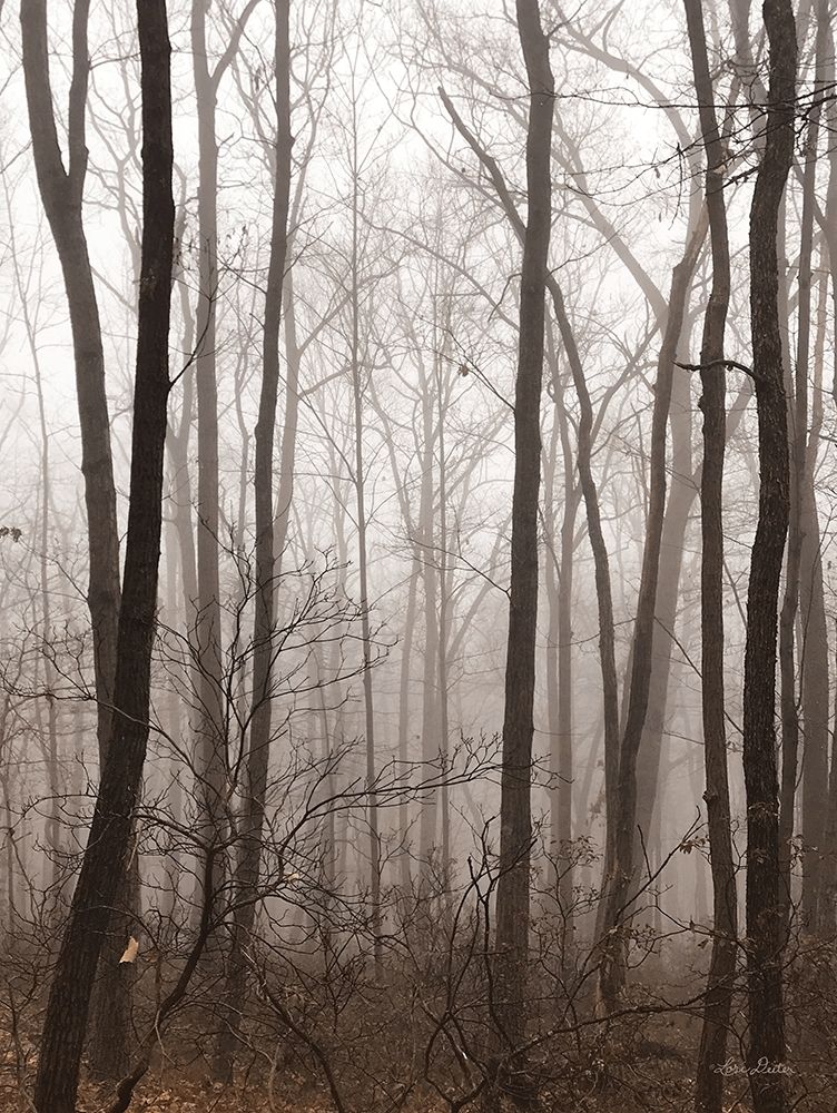 Emptiness