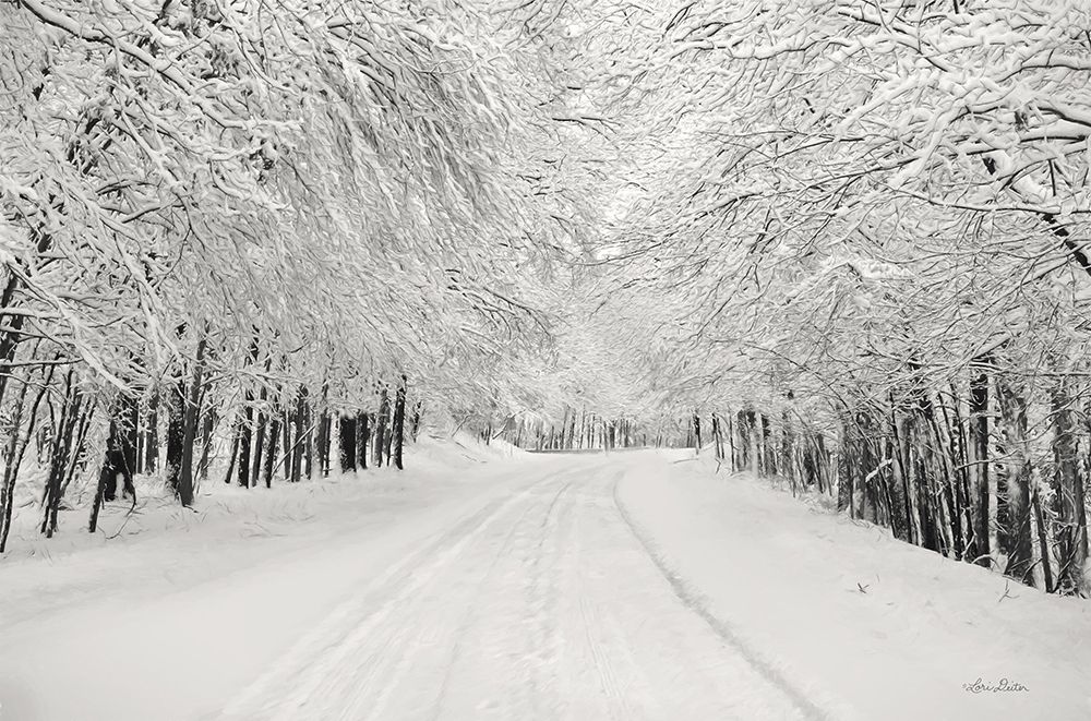 Snowbound