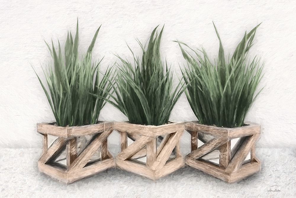 Planter Trio