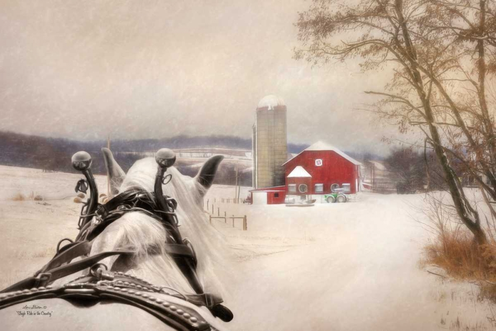 Sleigh Ride in the Country