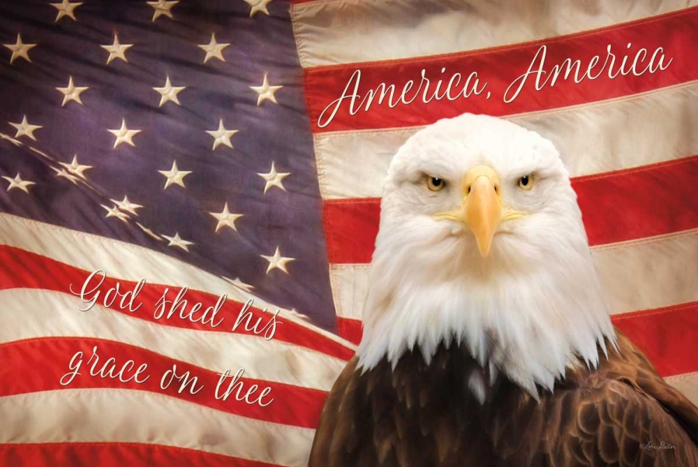 American Eagle Flag
