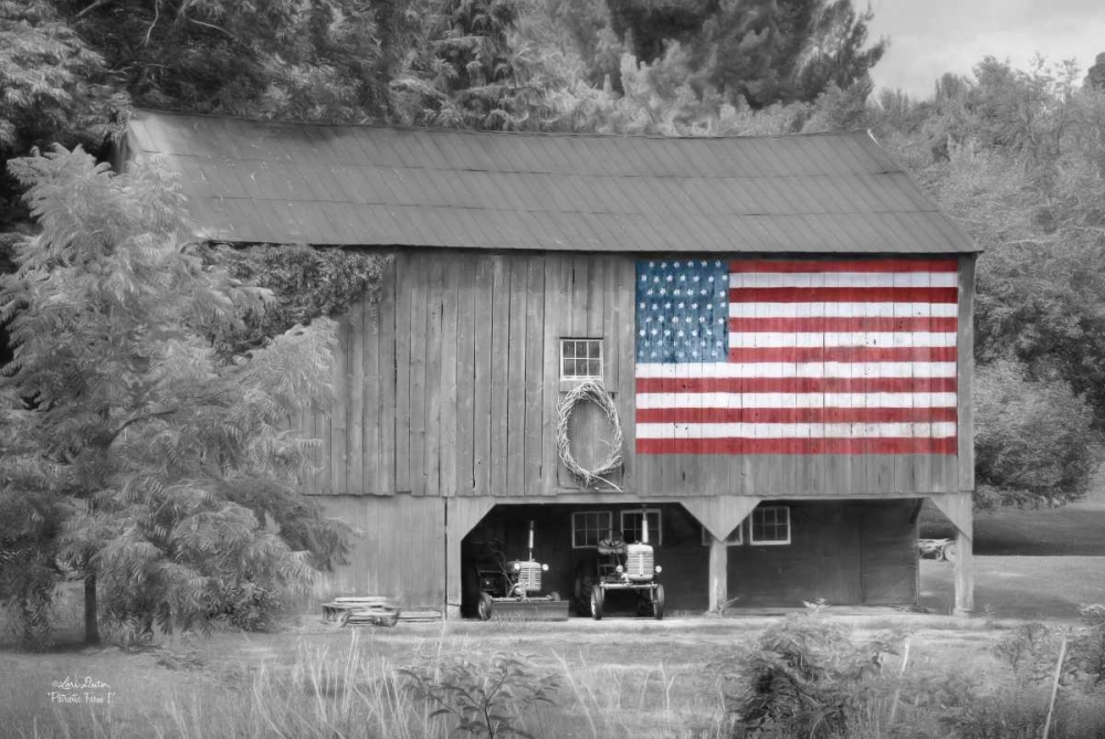 Patriotic Farm I