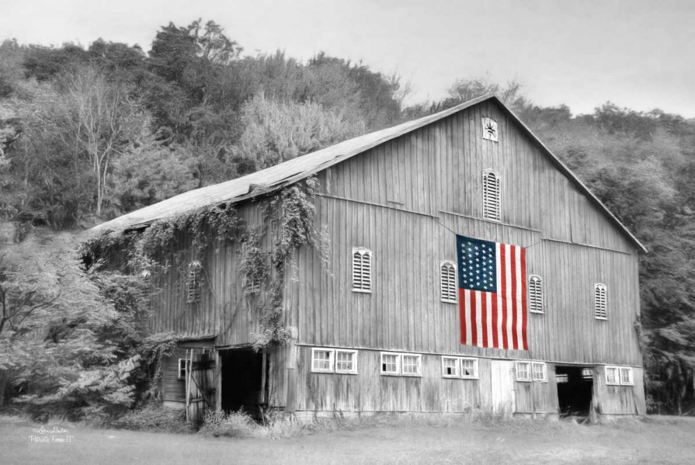 Patriotic Farm II