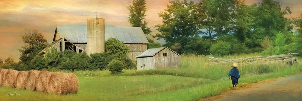 Amish Barefoot Farmer