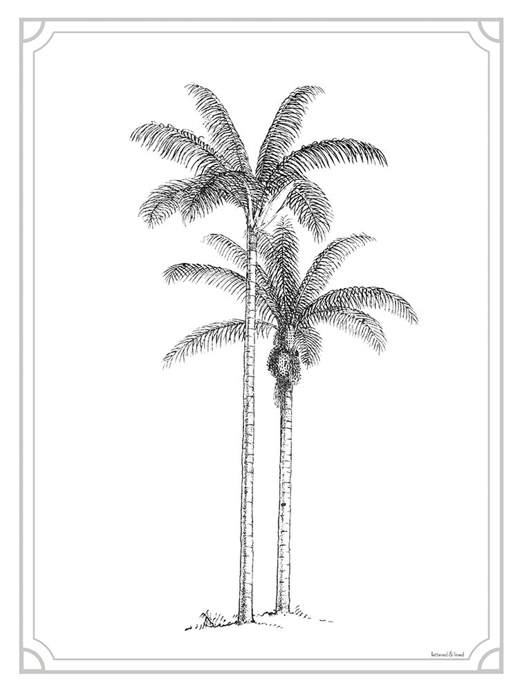 Timeless Palms
