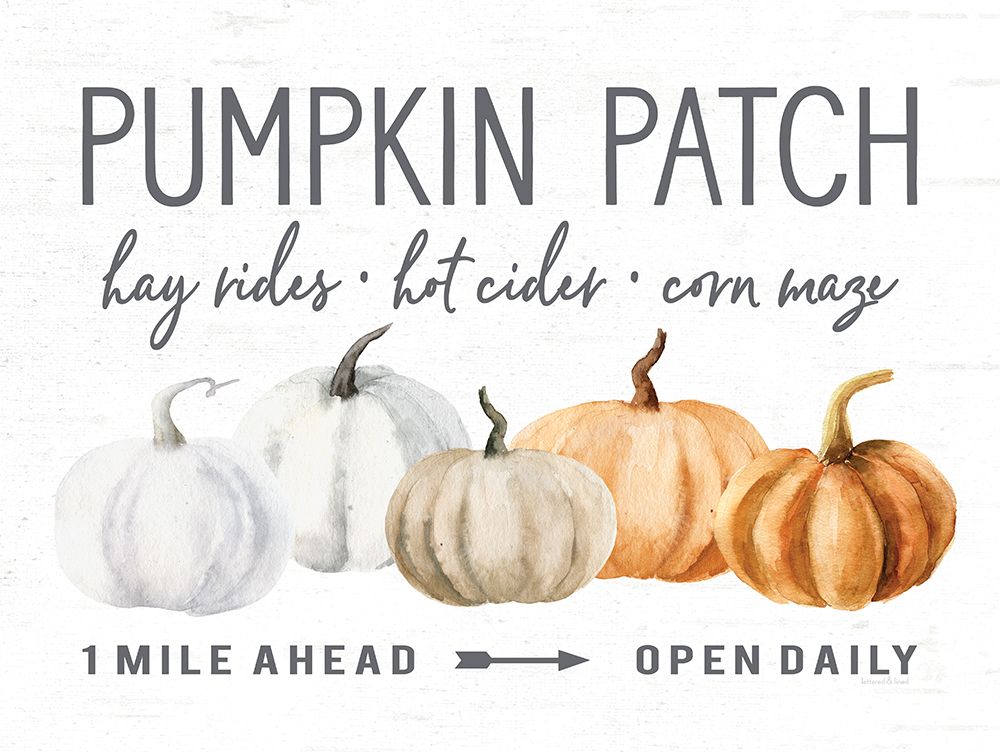 Pumpkin Patch