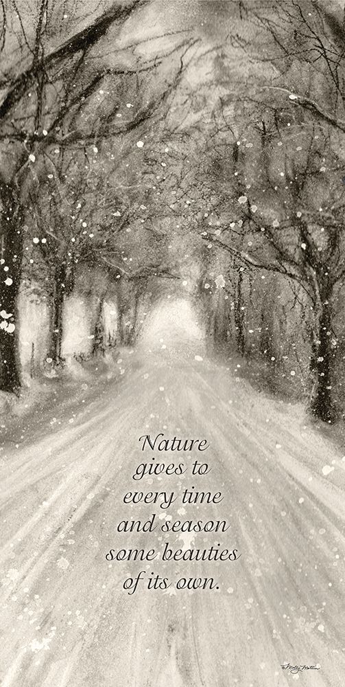 Winter Beauty