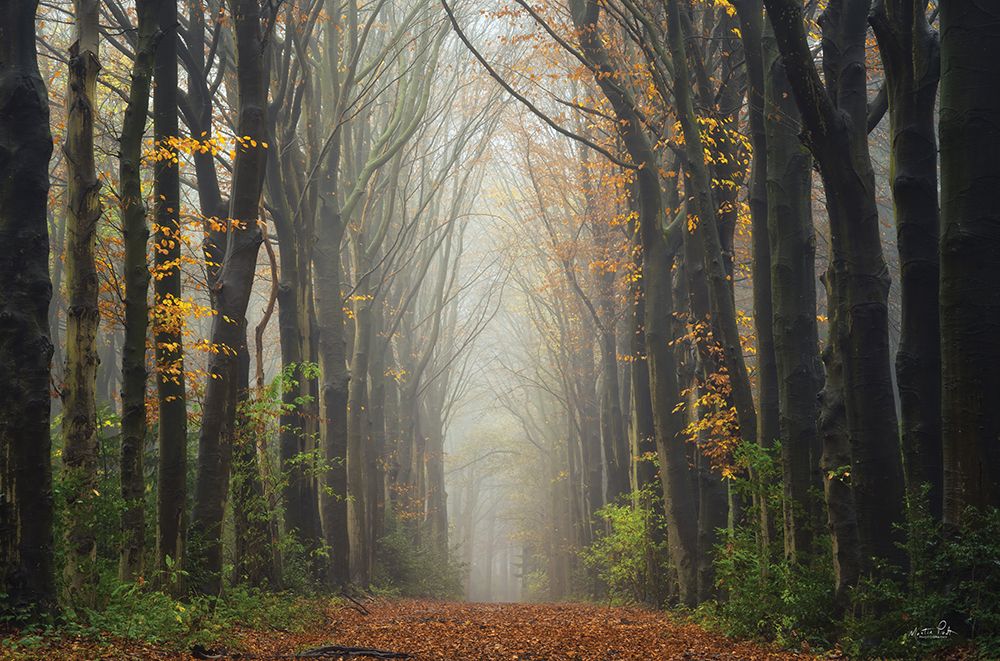 The Unknown Road