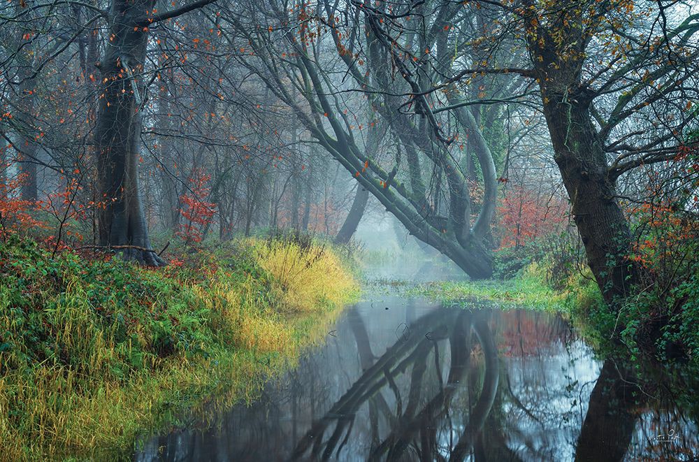 The Creek