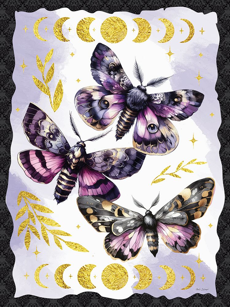 Mystic Butterflies