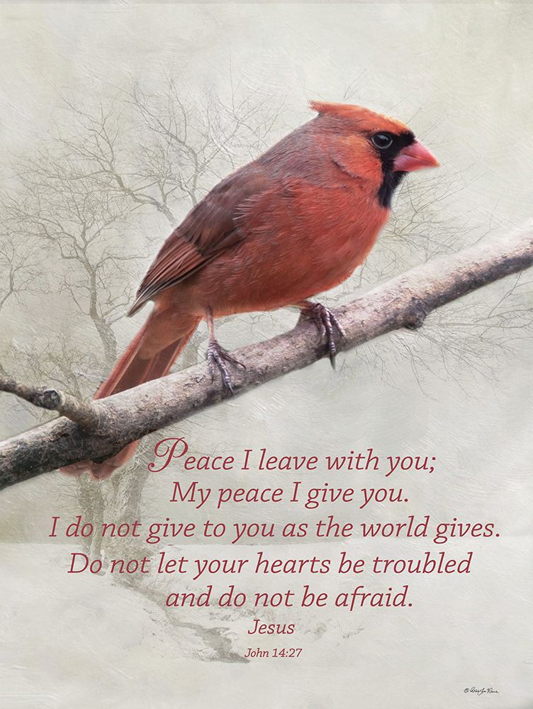 Peace I Leave With You