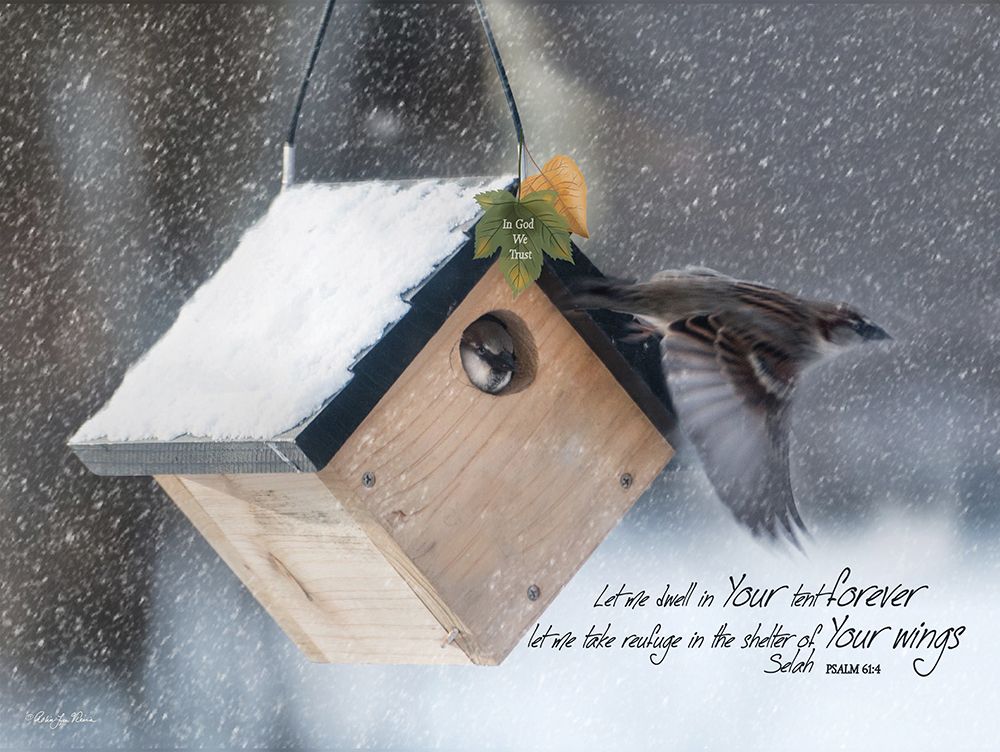 Your Wings