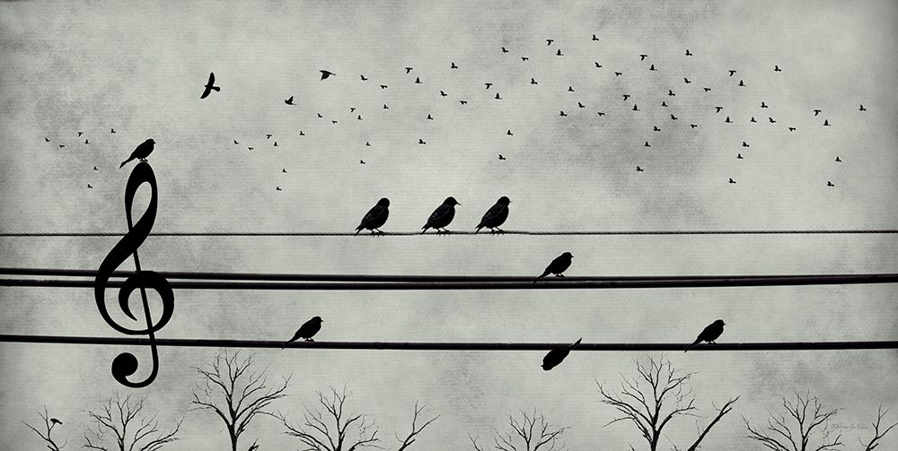 Song Before Sunset
