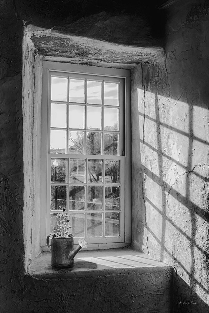 Afternoon DLight