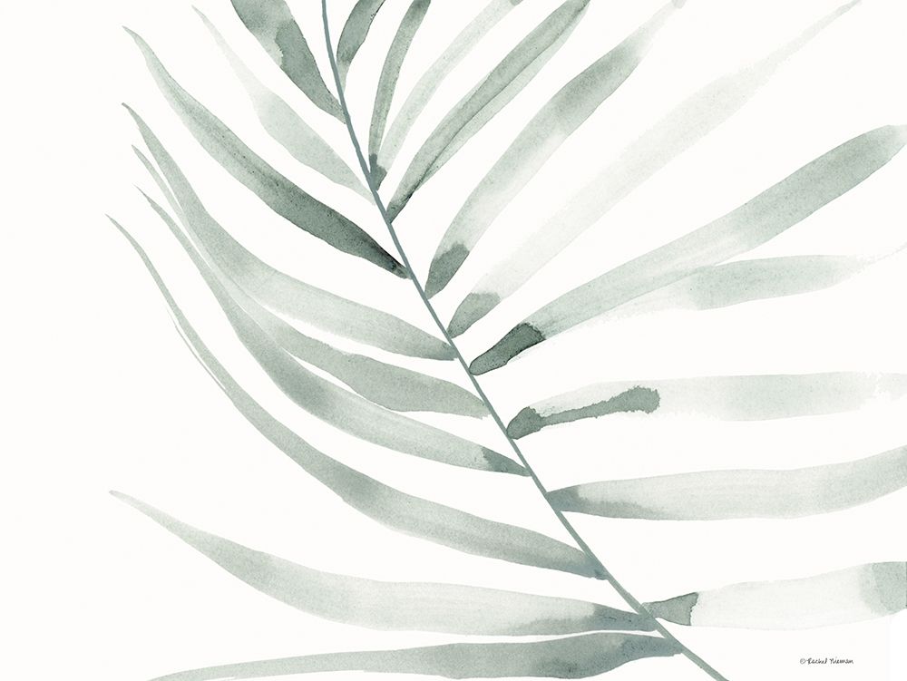Sage Fern Leaf