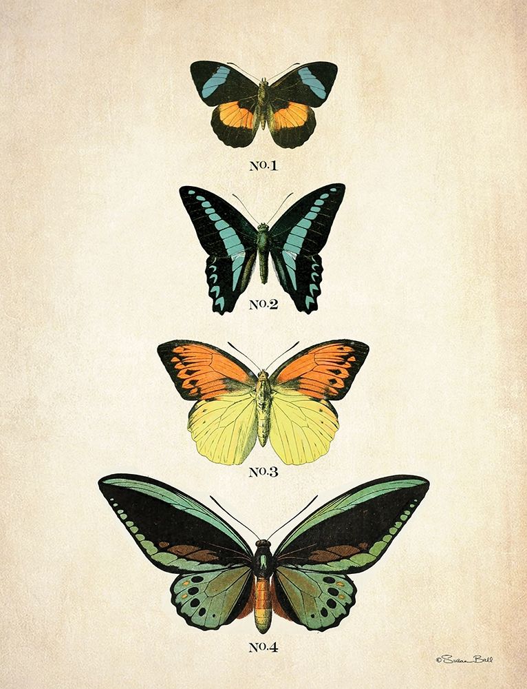 Butterflies 2