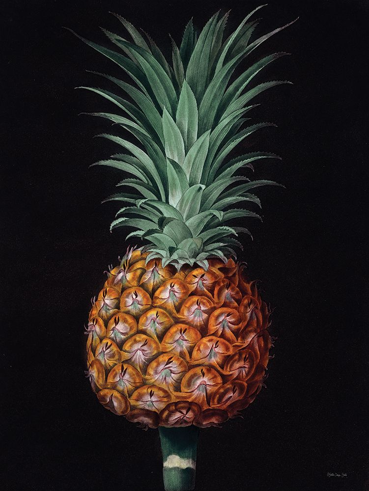 Vintage Pineapple I