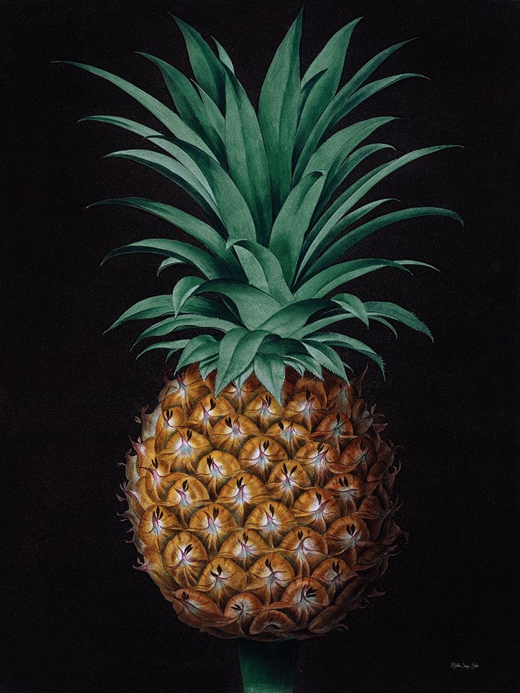 Vintage Pineapple II