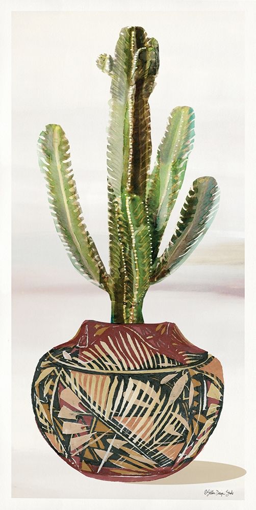 Cactus in Pot 1