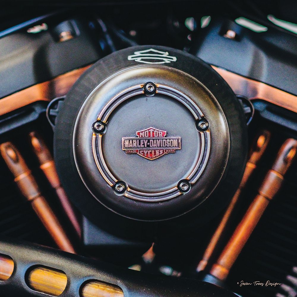 Harley II