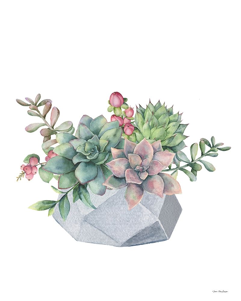 Watercolor Succulents