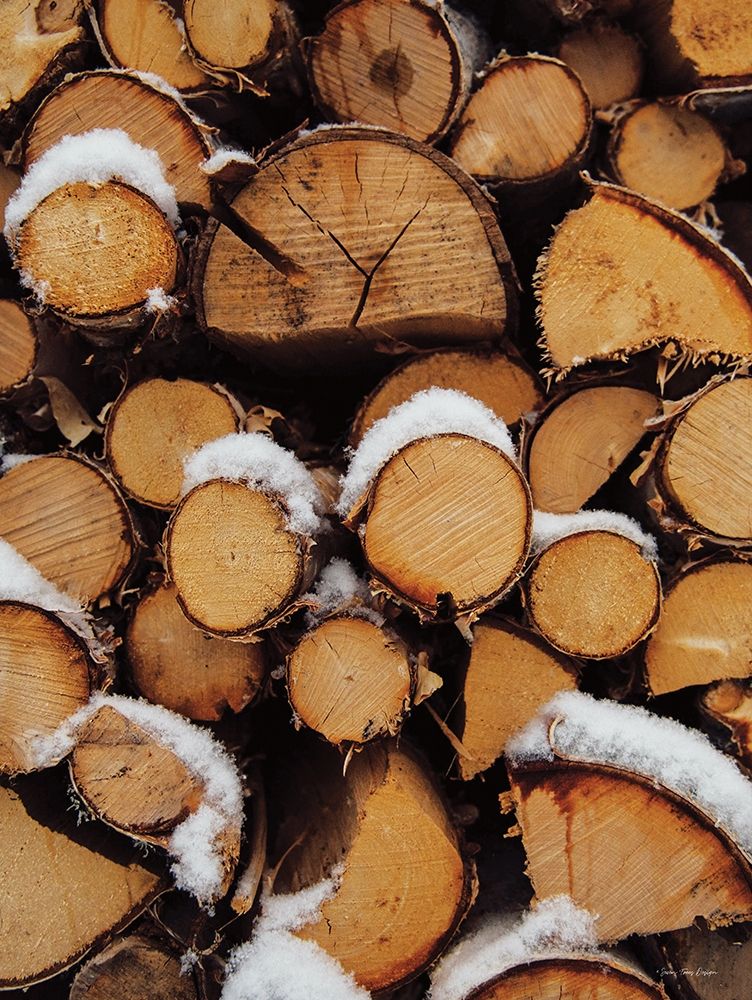 Wood Pile