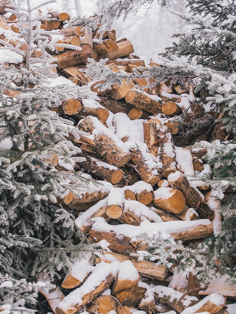Winter Wood Pile