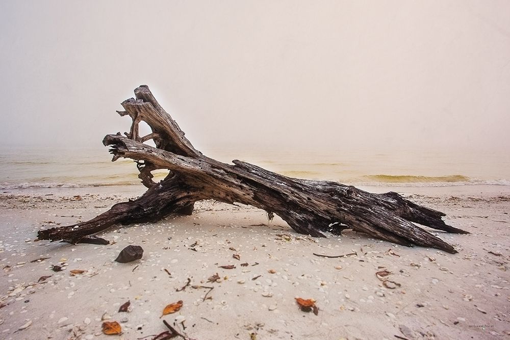 Natures Sculpture