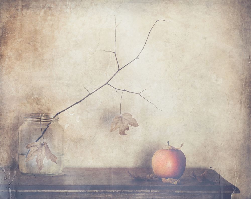 Fall, Leaves, Fall