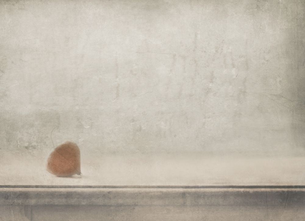 Solitude Stands By The Window