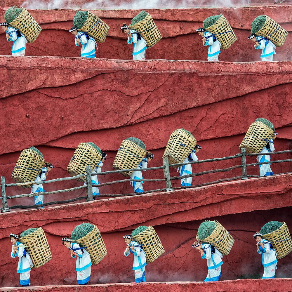 The Ants