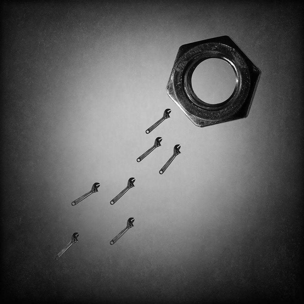 The reproduction