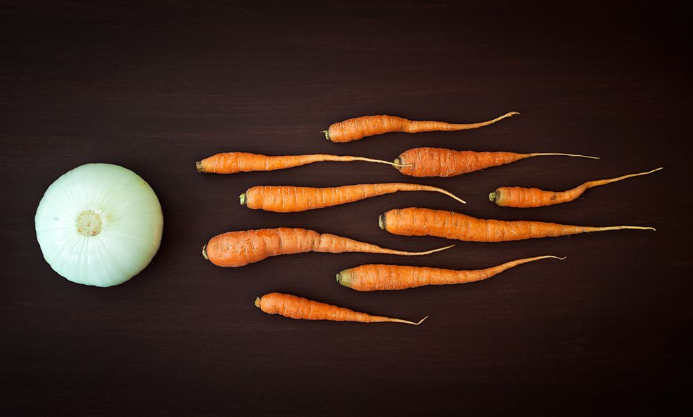 Vegetable Reproduction