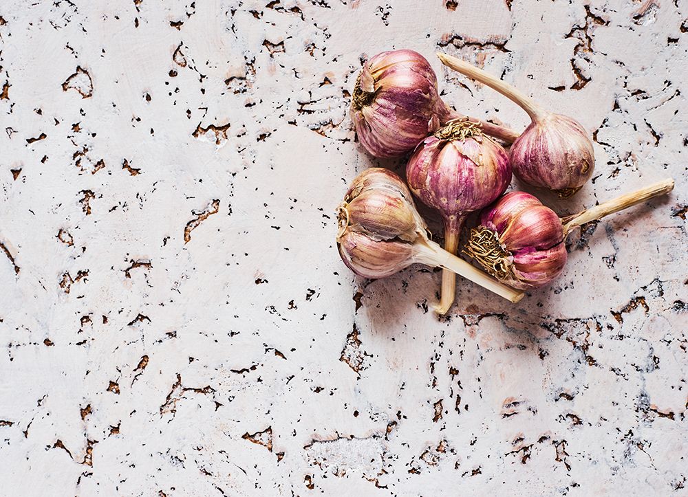 Healthy Garlic