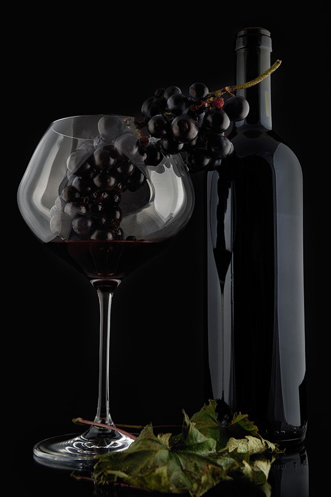 I Love Wine ! V