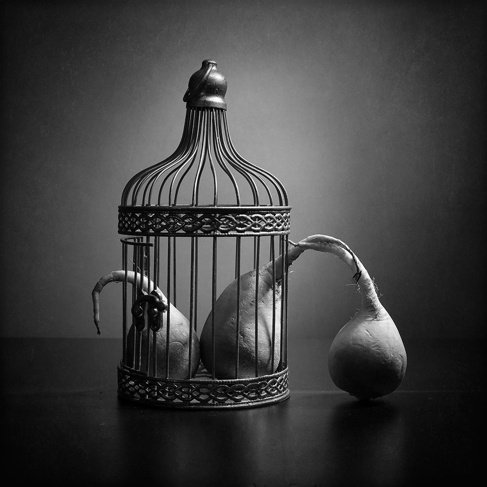 The prisoners and the visitor