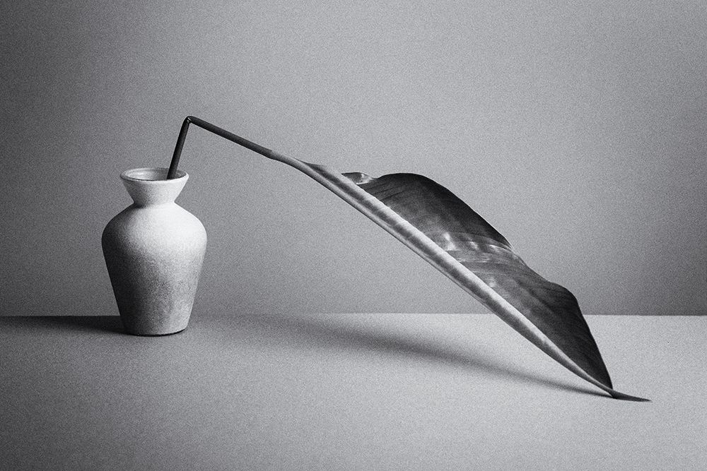 The Leaf