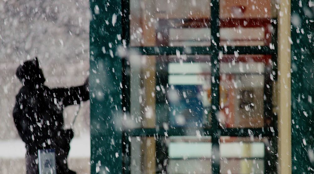 Window cleaner