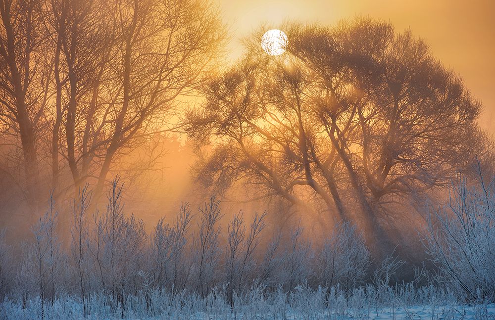 Warm And Cold