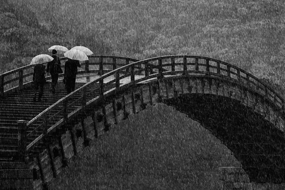 Rainy company