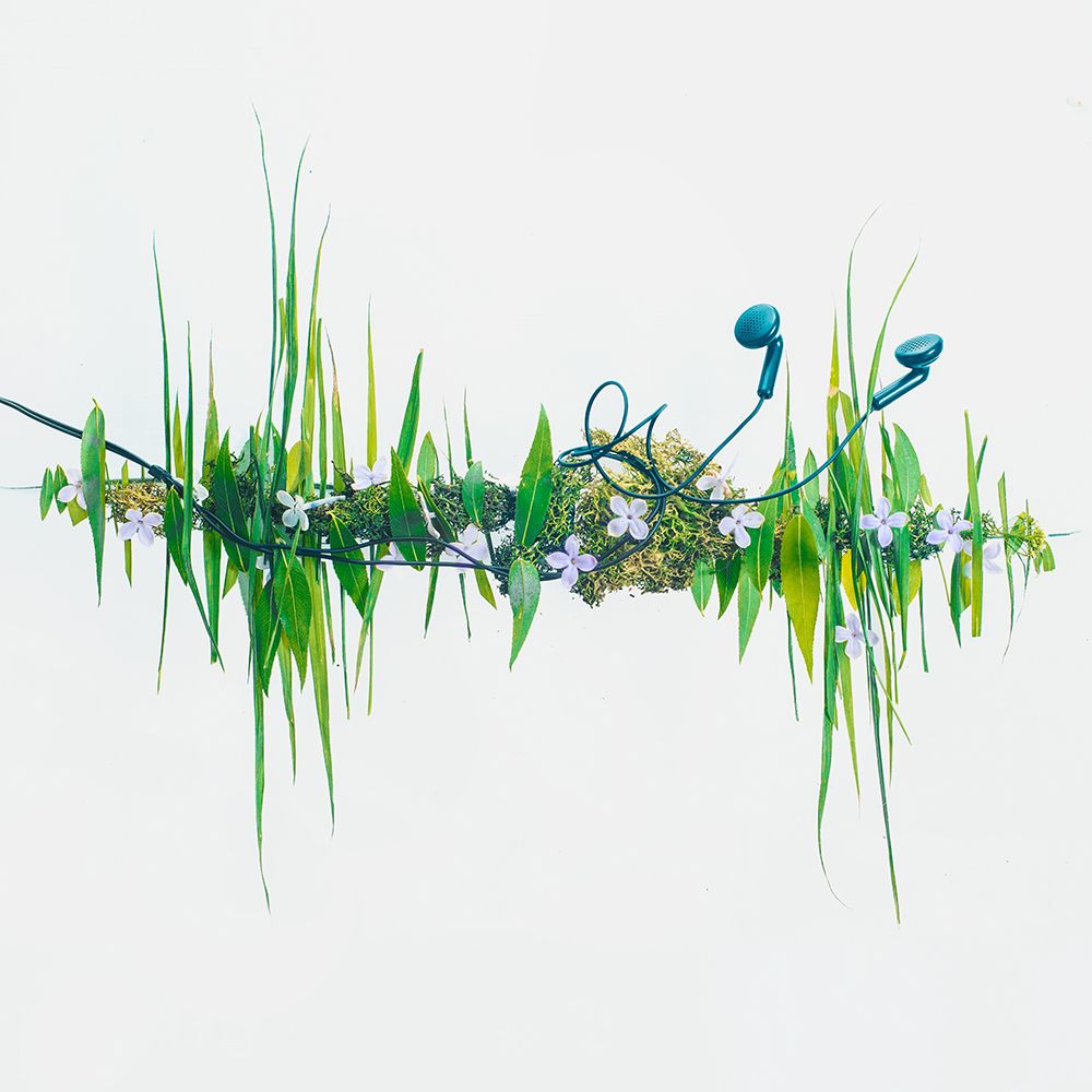 Music Of Nature