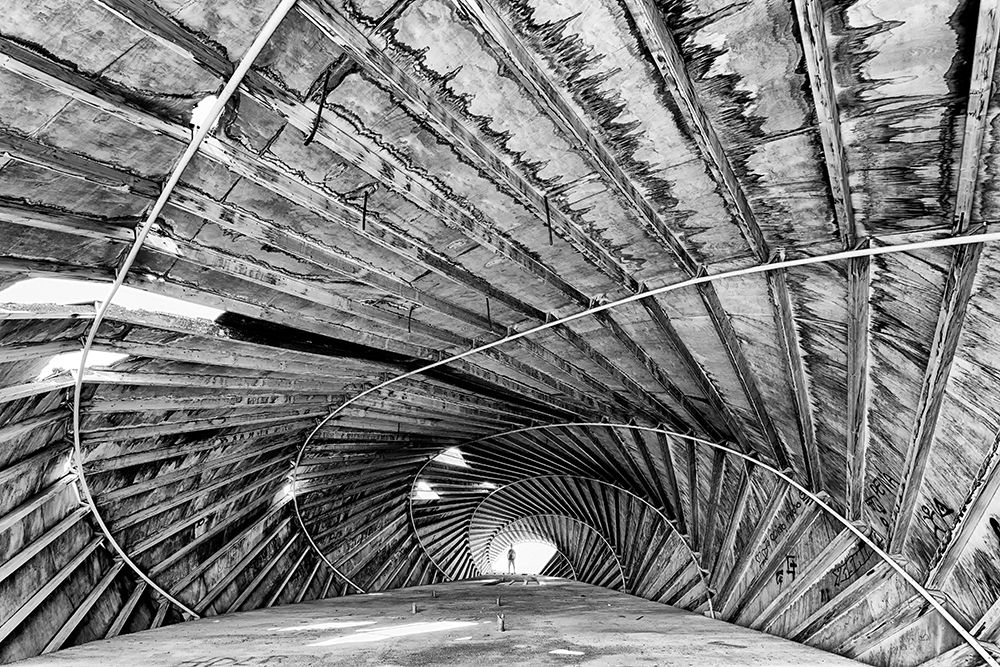 Caracola Toyo Ito