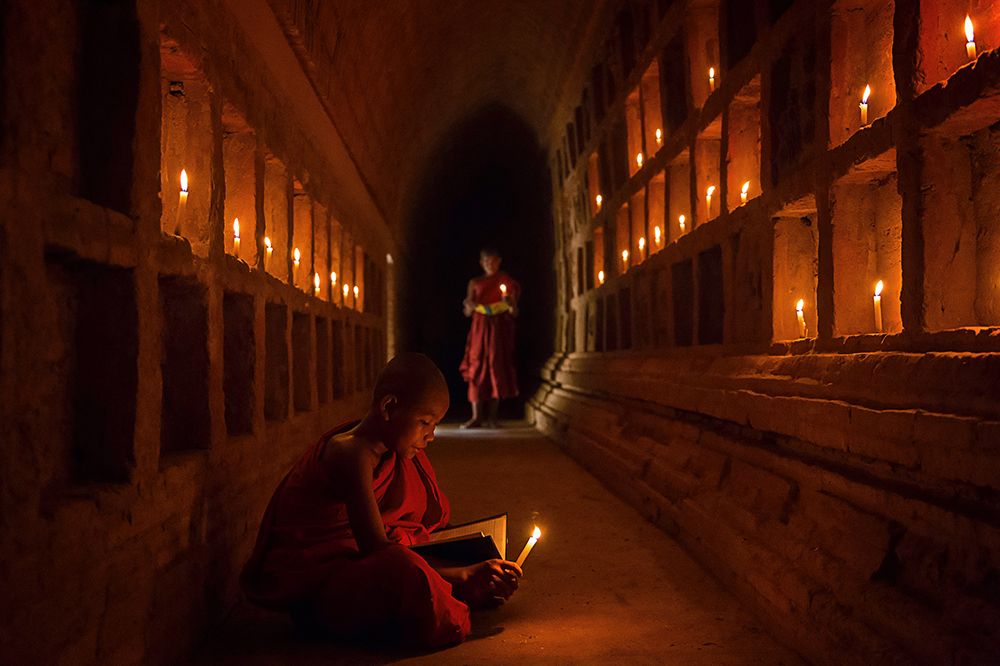 The Novices