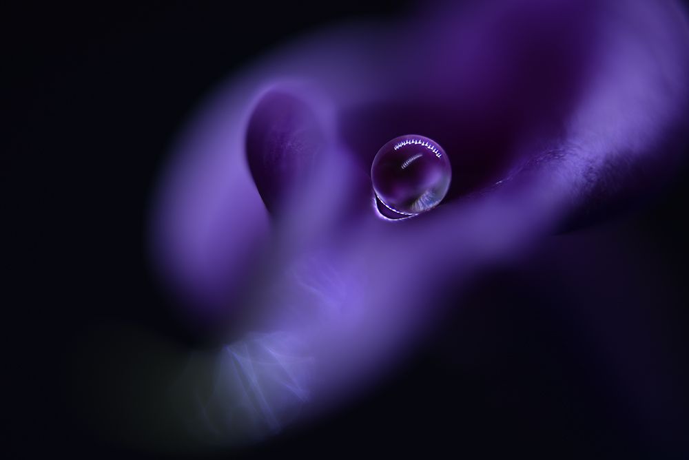 Kalas Pearl