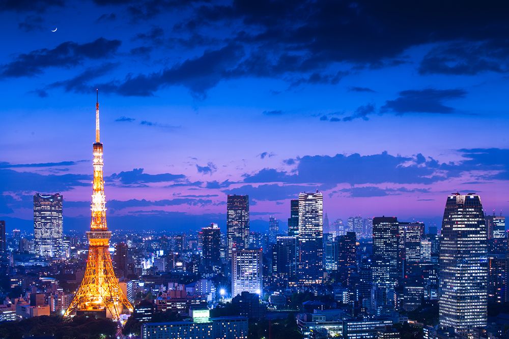 Tokyo Night View