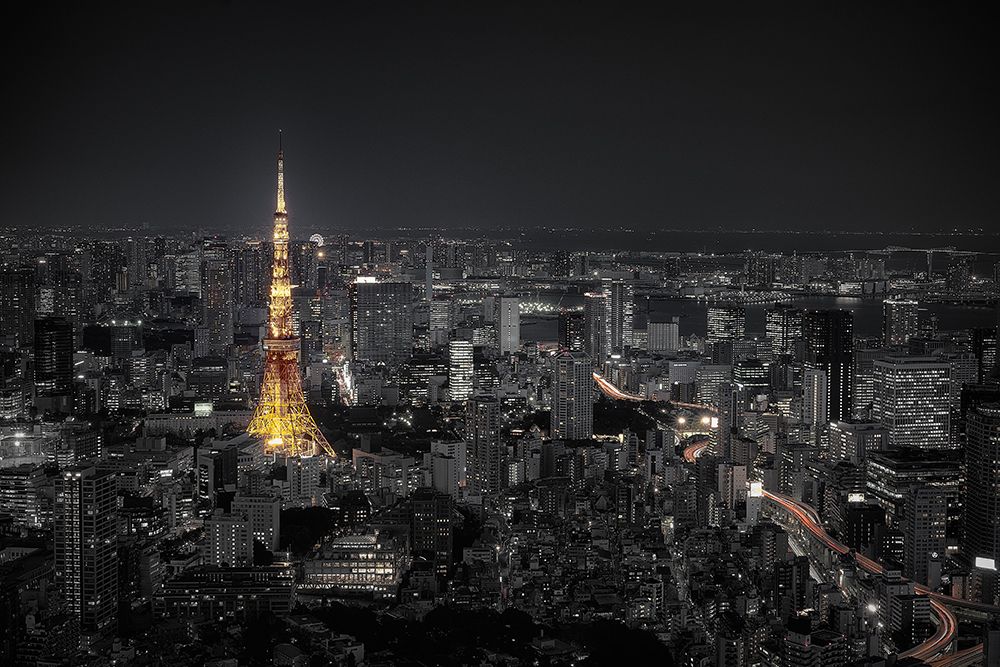 Tokyo At Night